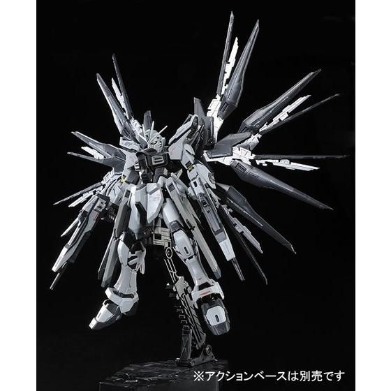 RG 1/144 ストライクフリーダムガンダム ディアクティブモード│株式