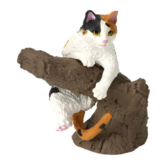 いきもの大図鑑 指まきコレクション 猫｜ガシャポンオフィシャルサイト