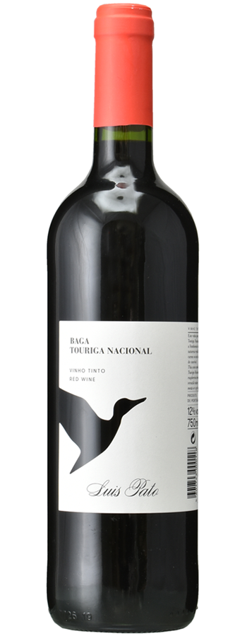 ルイス・パト｜木下インターナショナル株式会社