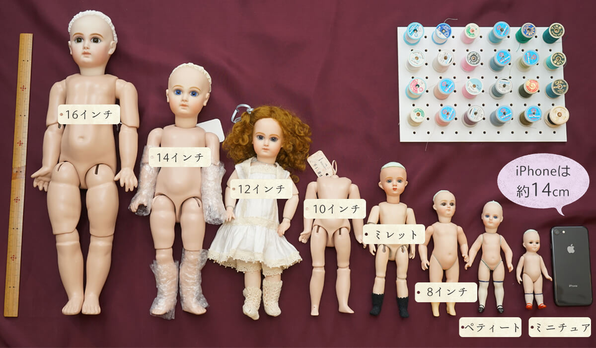 ビスクドールの基礎知識 サイズ編｜読みもの｜ベベタビト人形館