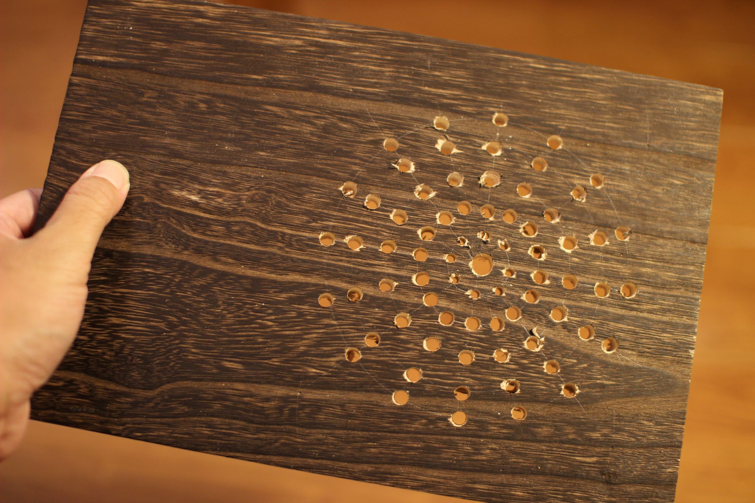 ビカクシダの板付け用の着生板を作ってみた［DIY初心向け