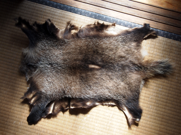 完成したアナグマの毛皮】 | しがない猟師・毛鉤職人の日常