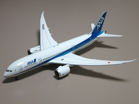 ANA B787-8 通常塗装機（JA804A・暫定国内仕様機） - Neko Transport