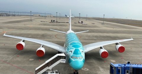 A380 フライングホヌ。エメラルドグリーンのカイくん - 常滑市議会議員