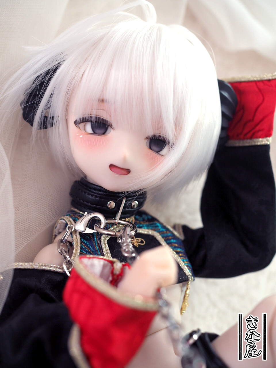 DDH-22 フレッシュヘッドのみ ドルフィードリーム