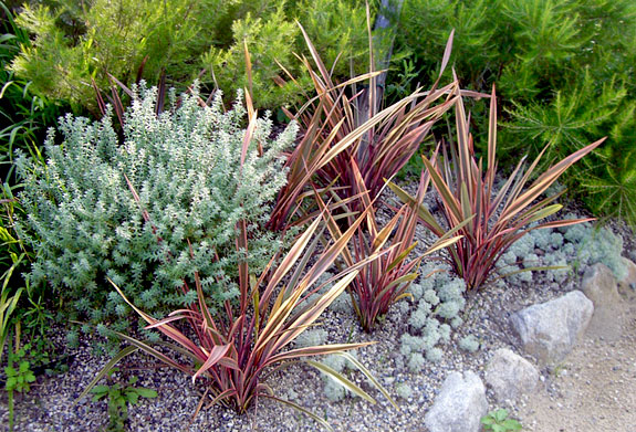 ガーデン・フィールズ レポート・・・その7 リーフプランツ(1