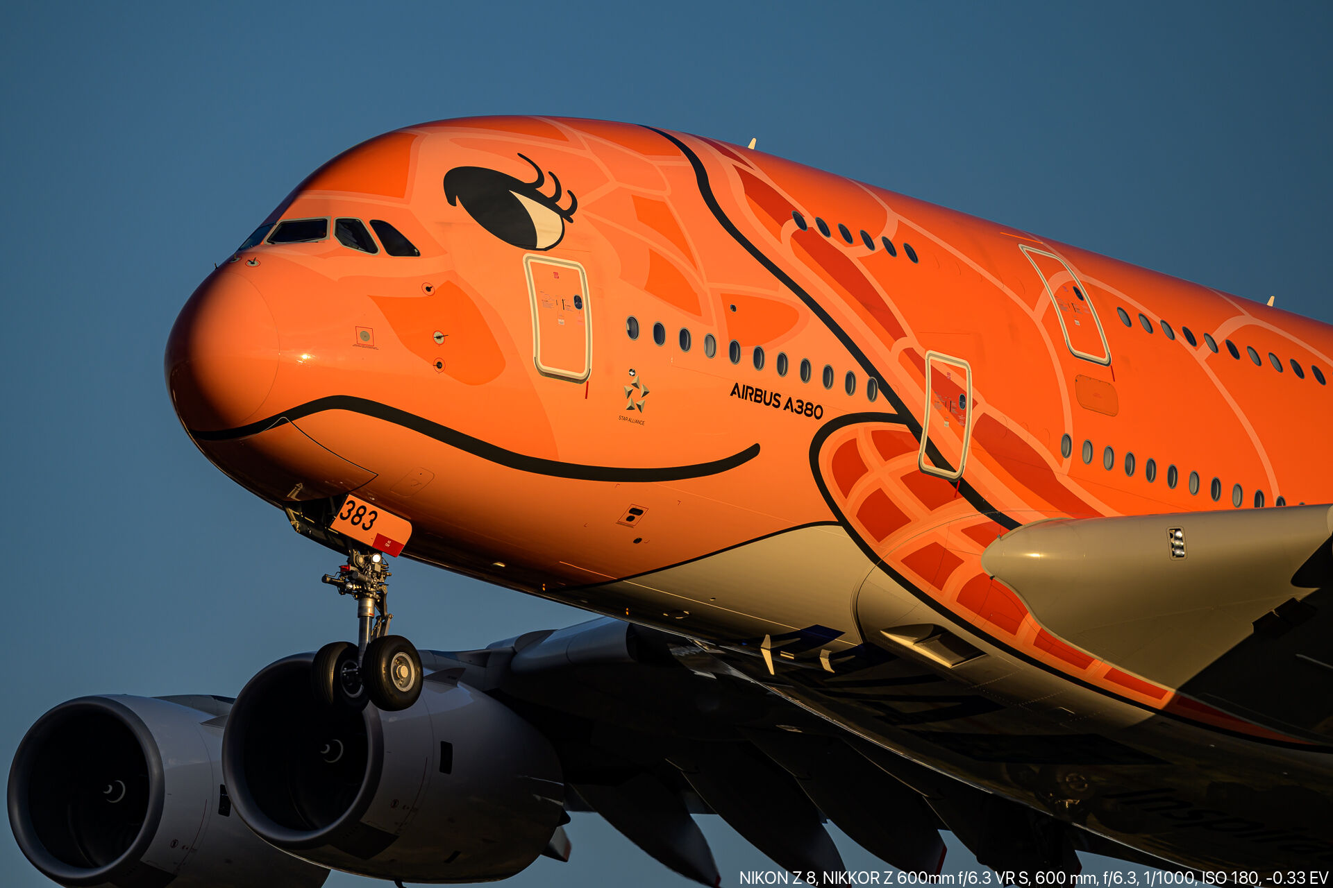 成田空港 ひこうきの丘から撮る絶滅危惧種4発機 – 酔人日月抄外伝