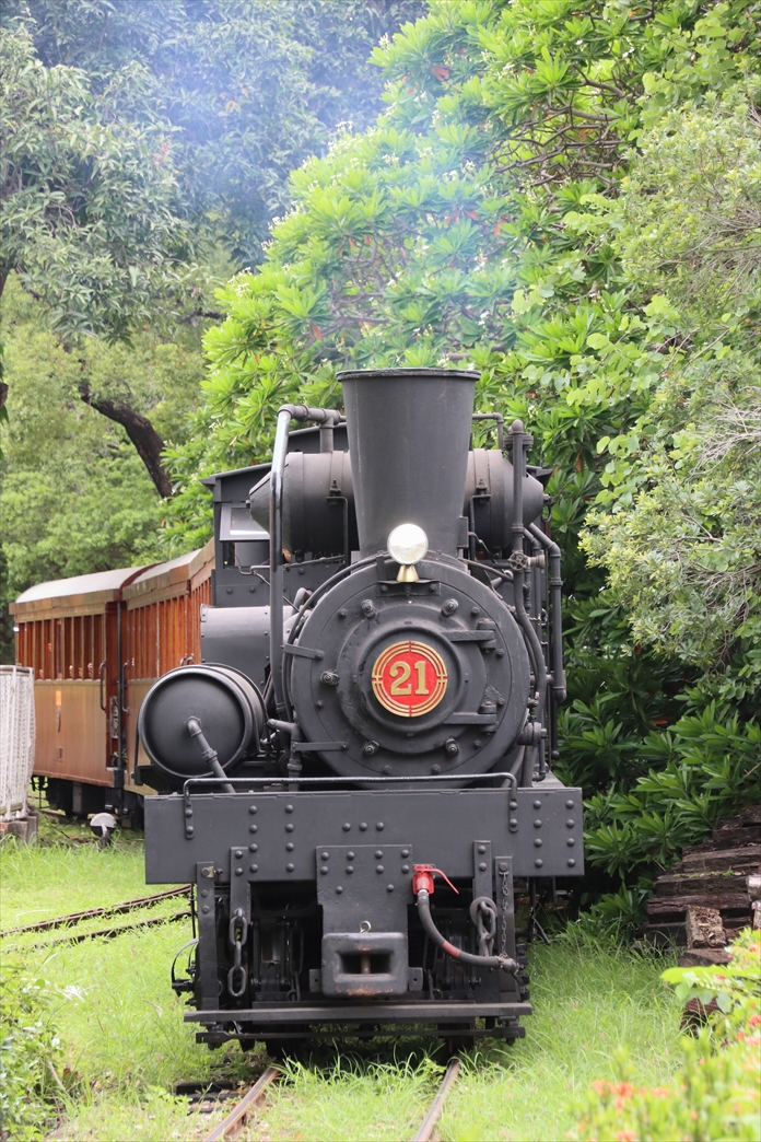 阿里山森林鉄道のシェイを撮ってきた（2024.6.1）: 昭和の記憶と復活蒸機