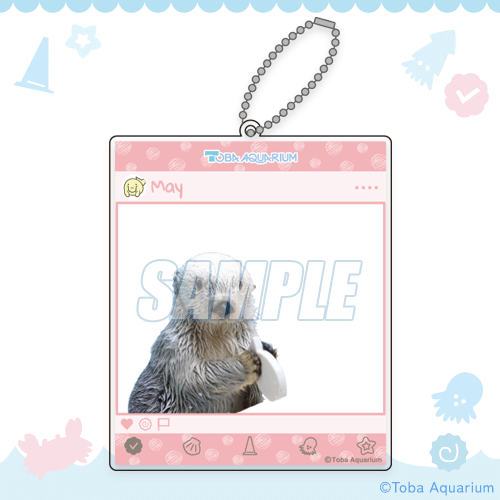 カプくじ×鳥羽水族館 ラッコのメイちゃんくじ | カプくじオンライン