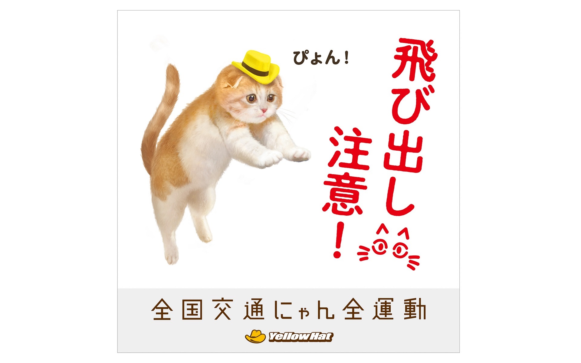 イエローハット、猫の安全を守る「全国交通にゃん全運動」でドライバー