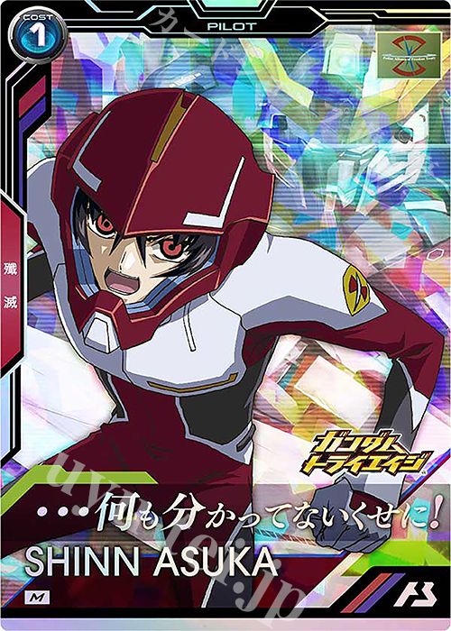 M シン・アスカ 販売 | 機動戦士ガンダムSEEDシリーズVol.2 | 機動戦士