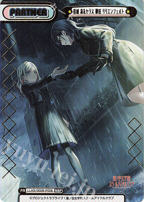 NBP 桂城 泉＆セラス 柳田 リリエンフェルト（箔押し入り） 販売