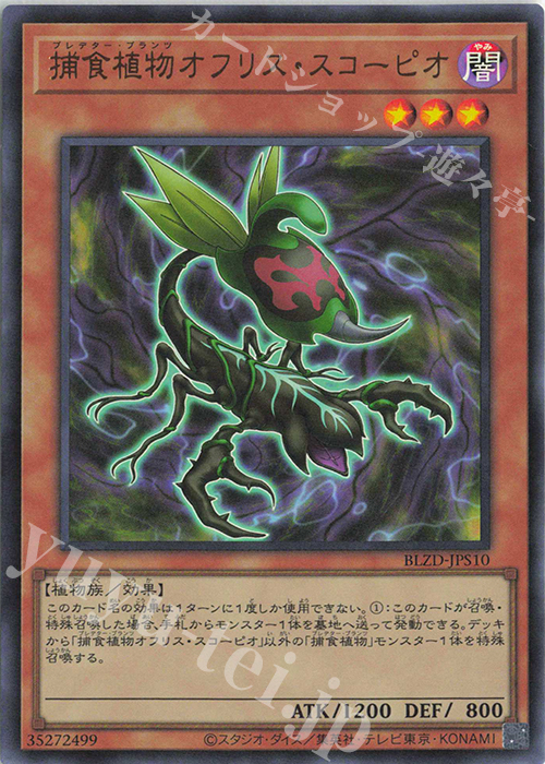 傷】 UR 捕食植物オフリス・スコーピオ 販売 | [BLZD] BLAZING