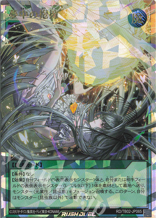 ORR 夢中の抱擁 販売 | [TB02] トリプルビルドパック エボリューション