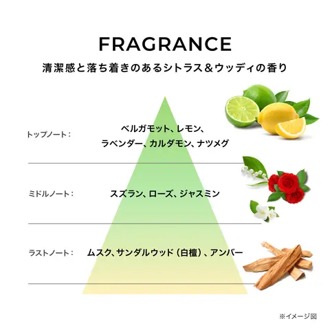 アンファースカルプD公式通販 | 予防医学のアンファーストア