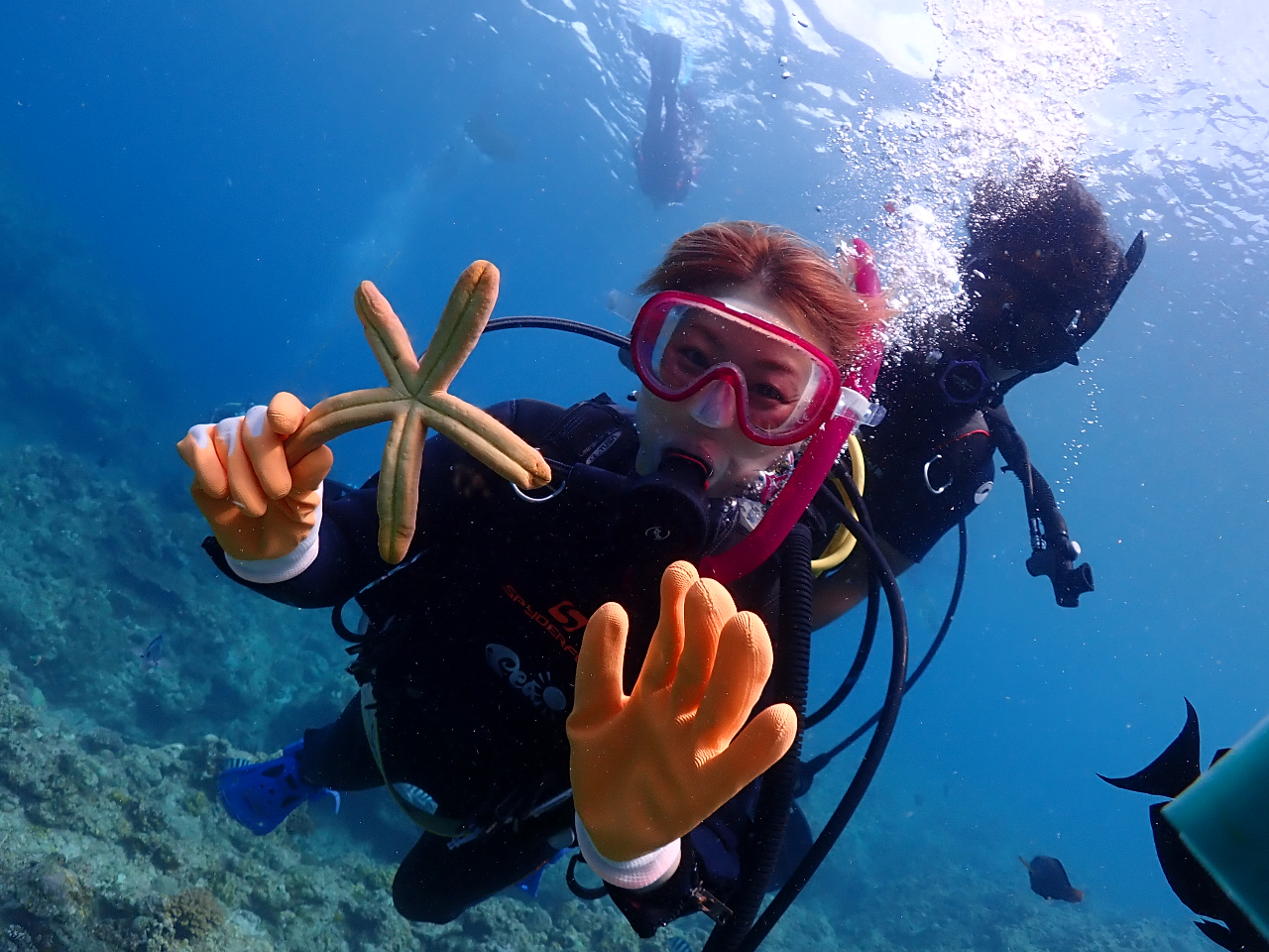 期間限定6000円！青の洞窟体験ダイビング☆水中写真・魚の餌付けつき