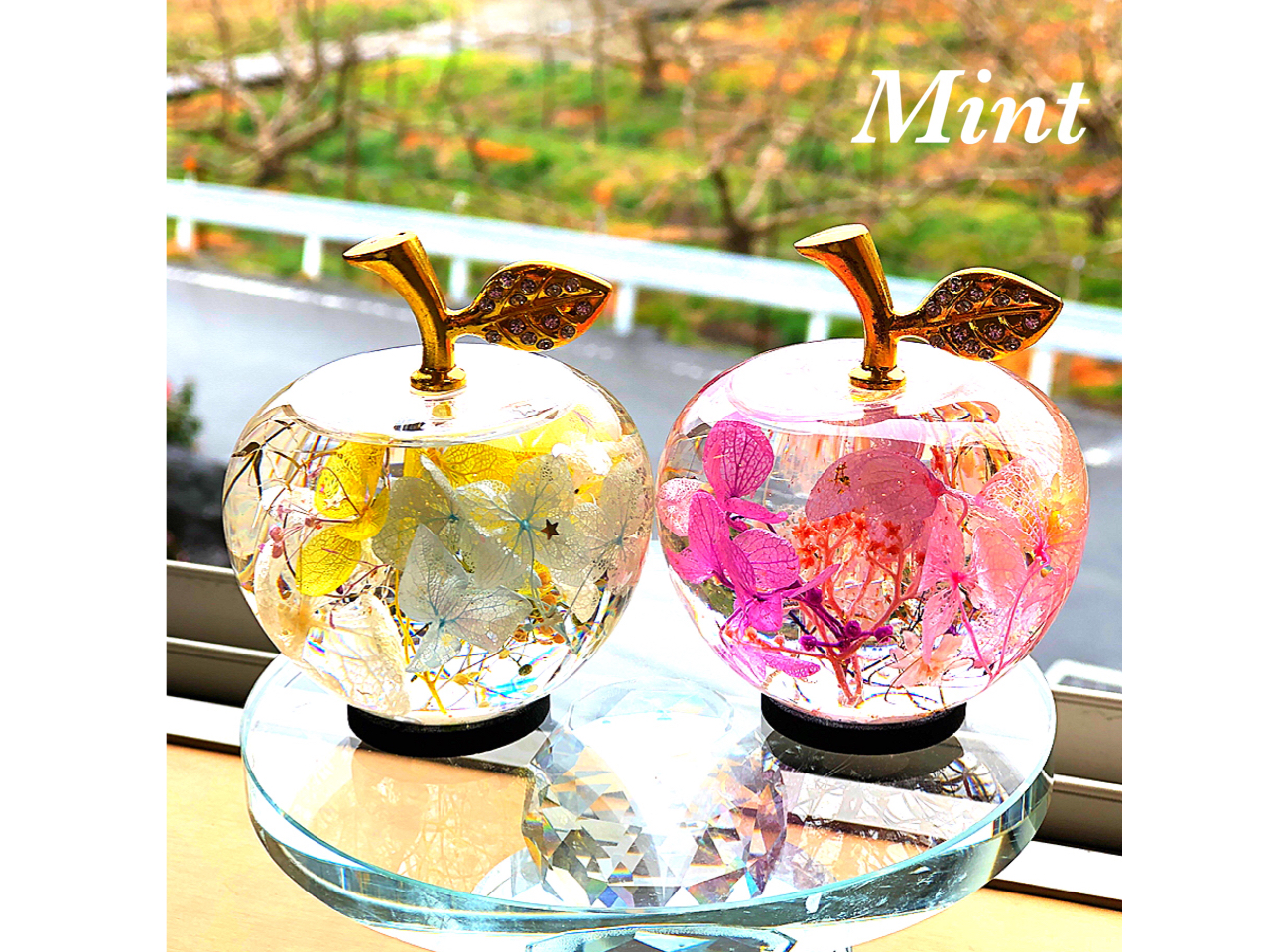 ☆体験時間約1時間～1時間半！大人気♪コロンと可愛い りんごハー