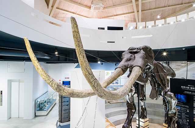 入館料込み♪ スペシャル宝石巨大発掘/玄武洞ミュージアム - じゃらん