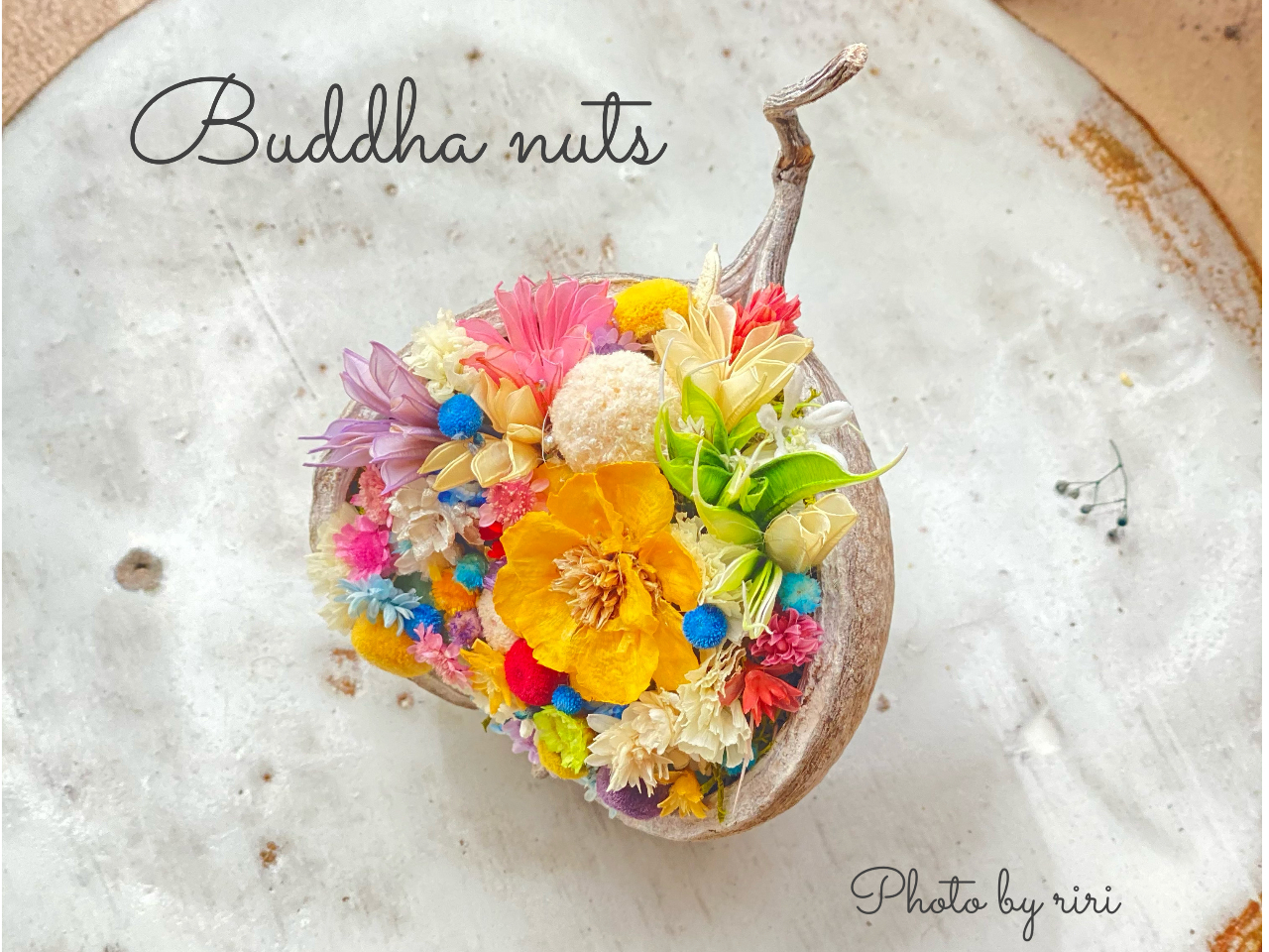 幸せを呼ぶコロンとかわいいブッダナッツアレンジ体験レッスン☆女性に