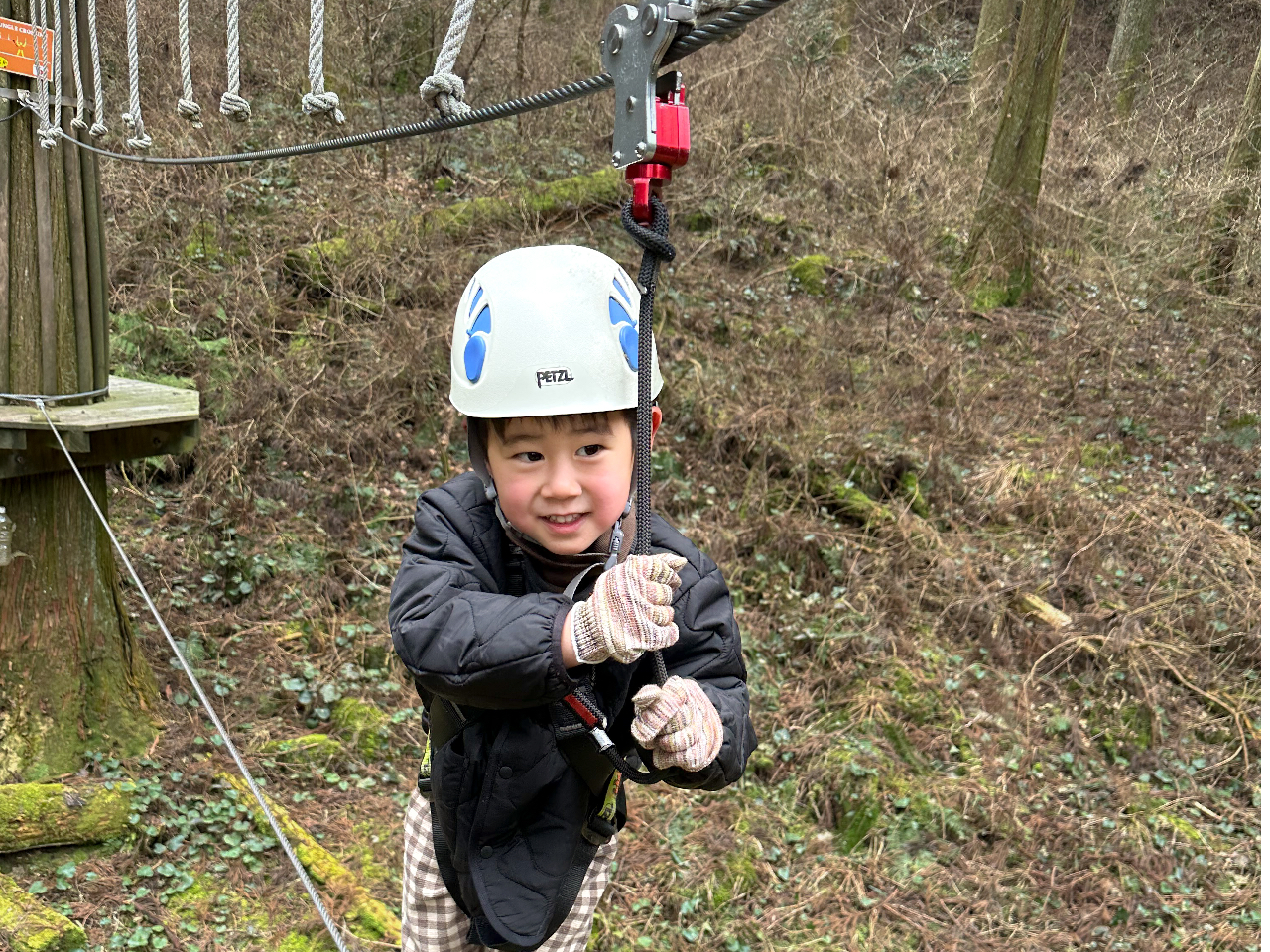 キャノピーコース】森の自然を楽しむ！アドベンチャーデビューも