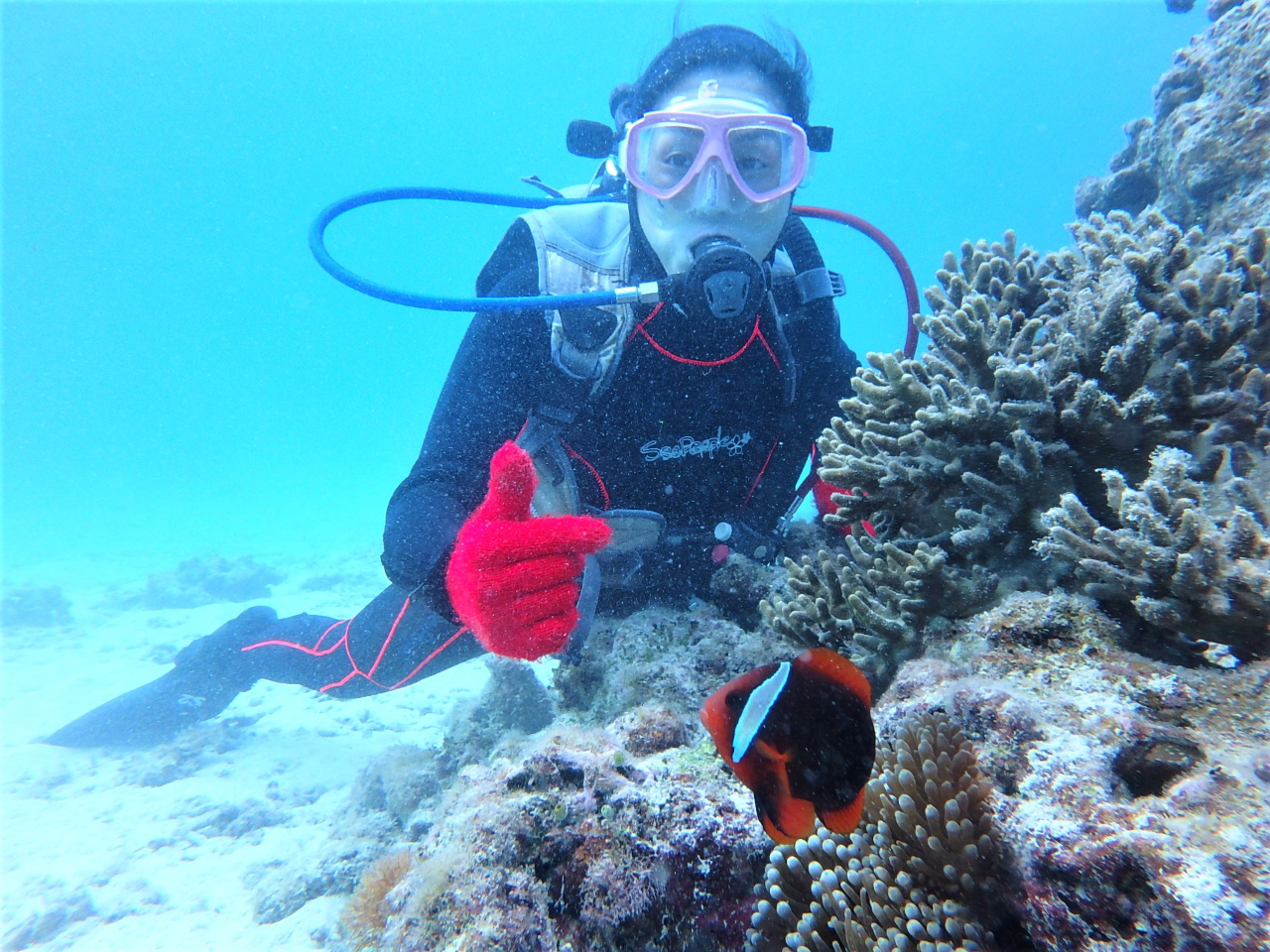 宮古ブルーを満喫！ボート体験ダイビング2DIVE＆シュノーケリング