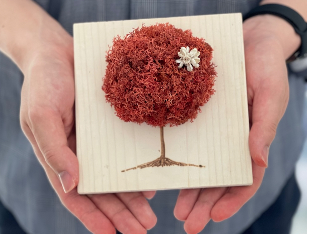 神奈川県小田原市】「もふもふの木」を作ろう♪苔玉とは違う？！新しい