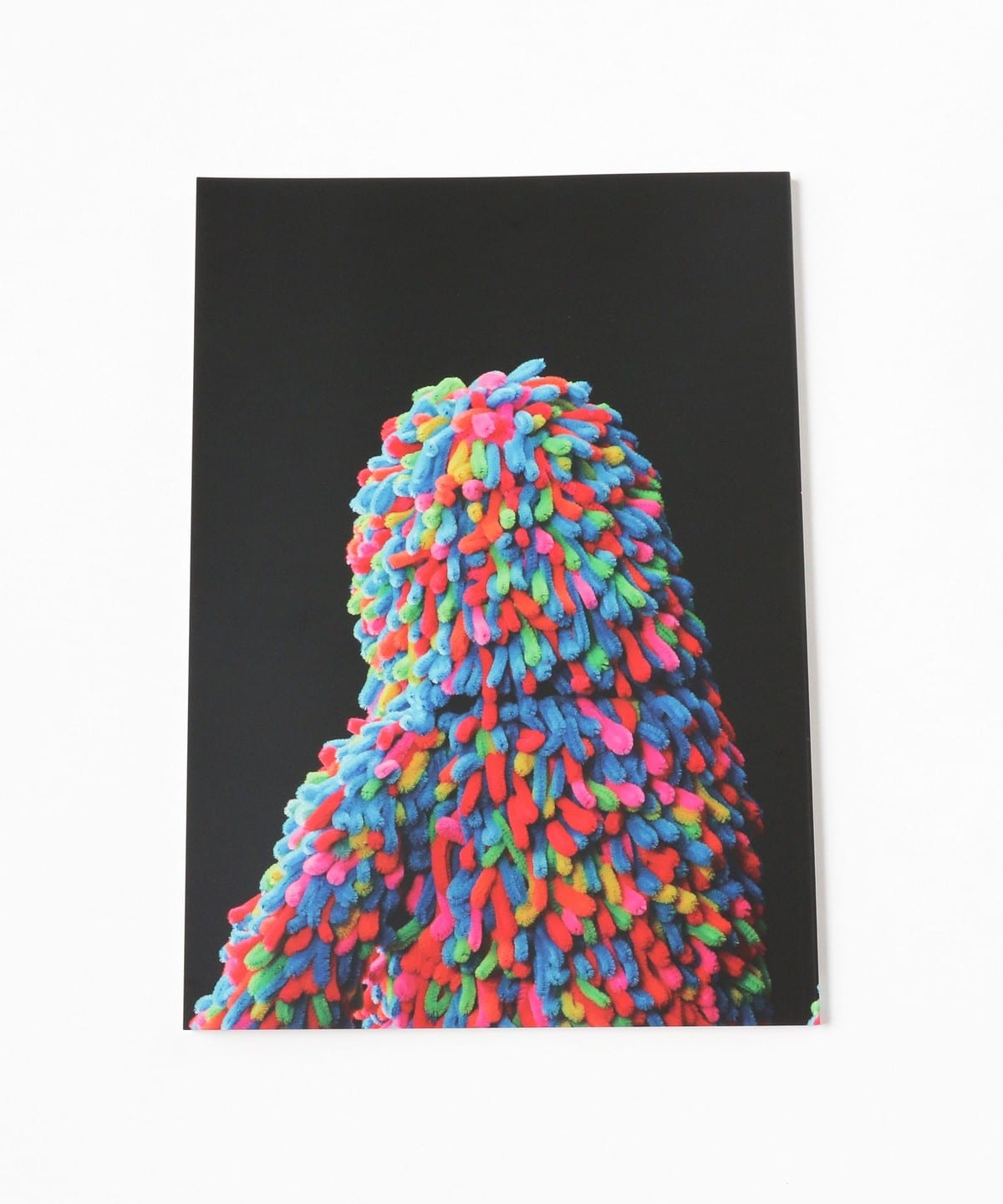 超貴重！！【フジサキタクマ】ブローディ座り TAKUMA FUJISAKI 超貴重