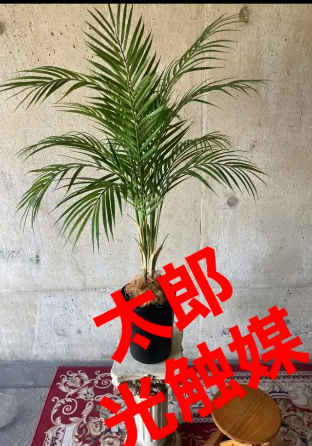 光触媒 人工観葉植物 ウォールグリーン フェイクグリーン アレカヤシ90