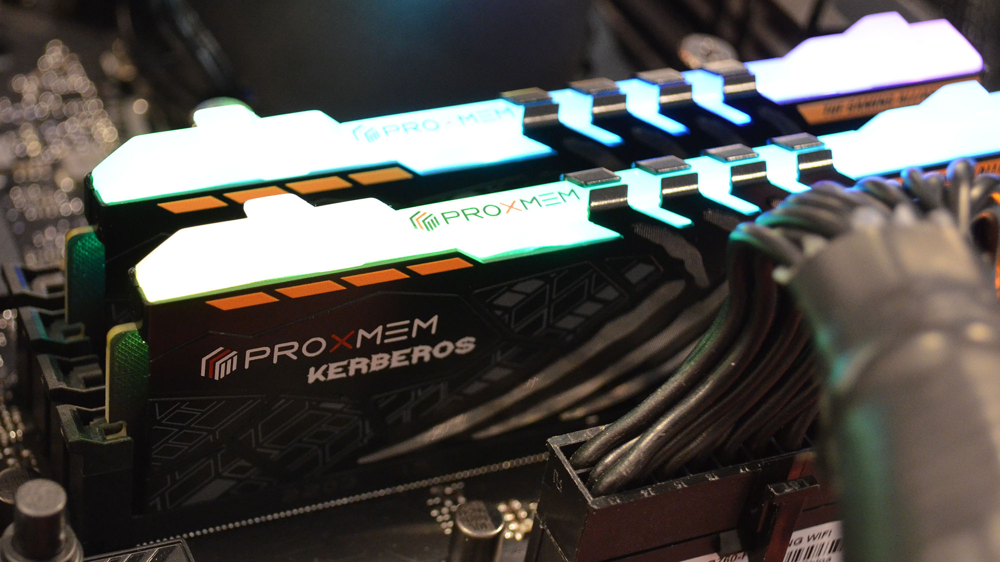 PROXMEM Kerberos TUF RGB DDR5: Outstanding performance for the