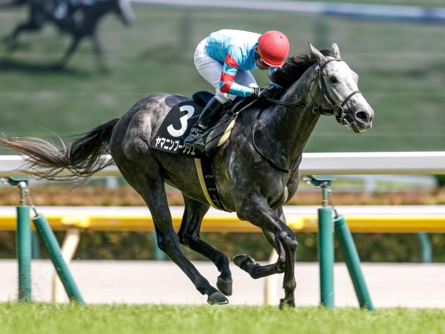 宝塚記念】サイレンススズカ唯一の勲章となったサマーグランプリ/名