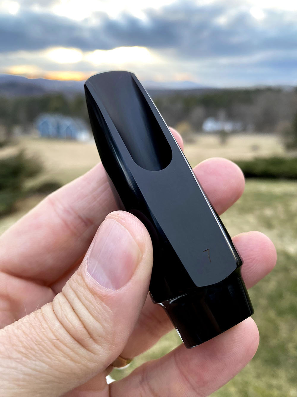 Selmer Paris Jazz Flow 7 Alto Saxophone Mouthpiece Review