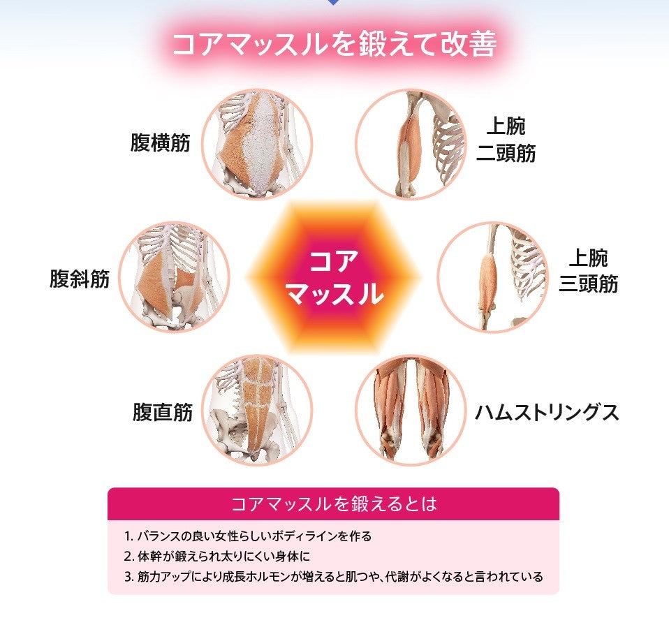 正規品】 ウイルエー SLIMPAD CORE（スリムパッド コア） ｜ALBUM