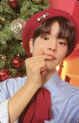 Straykids スンミン christmas evel 封入 特典トレカ 2026年最新】christmas evel スンミン トレカの人気アイテム - メルカリ