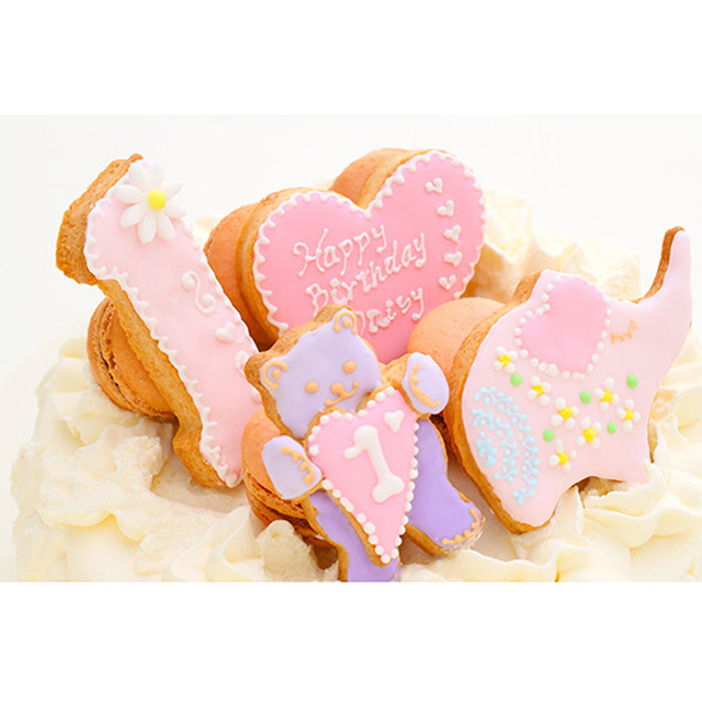 Daisy 100日祝い お食い初めケーキ6号18cm(ピンク)｜お祝い・ギフトの