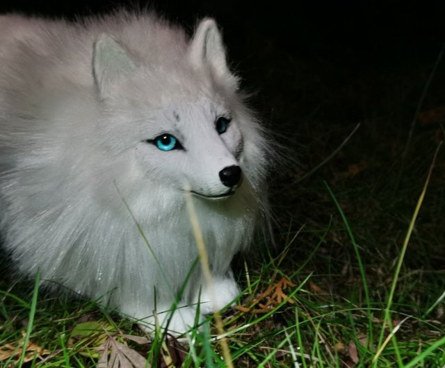 アゼルバイジャン オーダーメイドのキツネのアートドール動物のポーズ