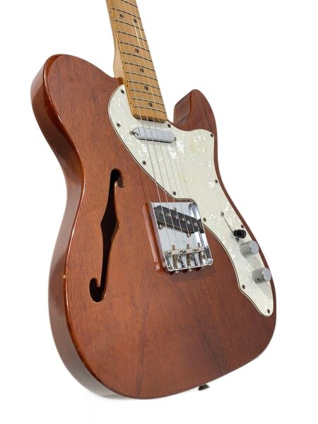 Fender Mexico(フェンダーメキシコ) / Classic 69 Telecaster Thinline