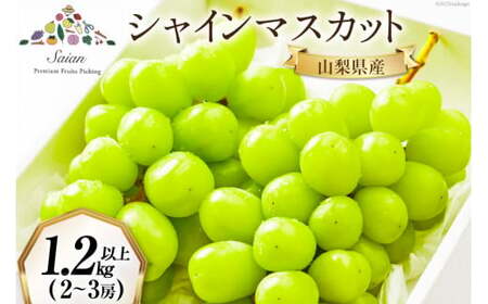 2026年発送】先行受付 シャインマスカット 予約 約 1.2～1.3kg 2～ 3房