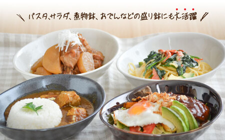 美濃焼】カレー皿 4色 セット たまご型【EAST table】皿 ワンプレート