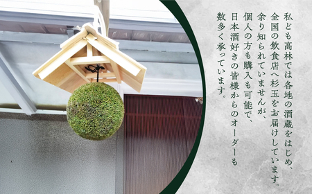 日本酒ライフに彩りを！杉玉直径40cm。自宅やお店のインテリアに。【67
