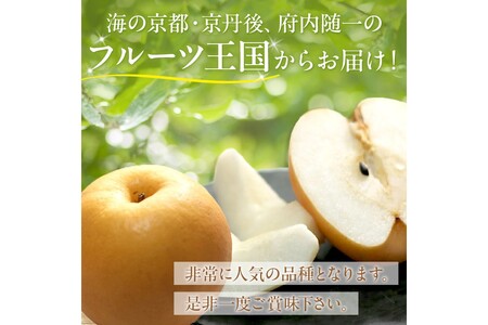 先行予約／数量限定150】京丹後産 新興梨 5kg（8～14玉入り）（2026年