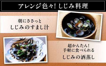 しじみ 地元でも入手困難なレアサイズ！ 宍道湖産ヤマトシジミ(冷凍砂