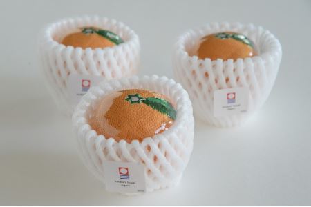 今治タオルブランド認定）みかんハンカチ3個セット 今治タオル 防臭