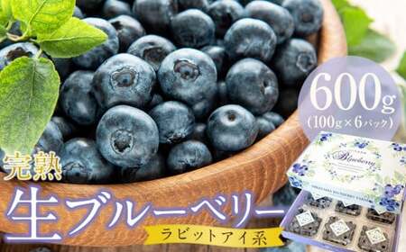 先行予約】完熟生ブルーベリー ラビットアイ系 600g (2026年7月～発送