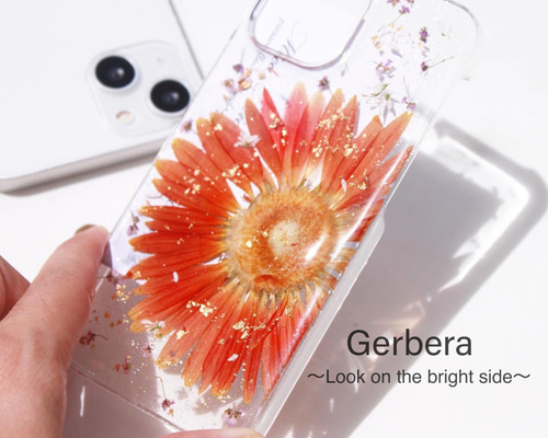 41c7611970088ce1d02c9e5f0e320e