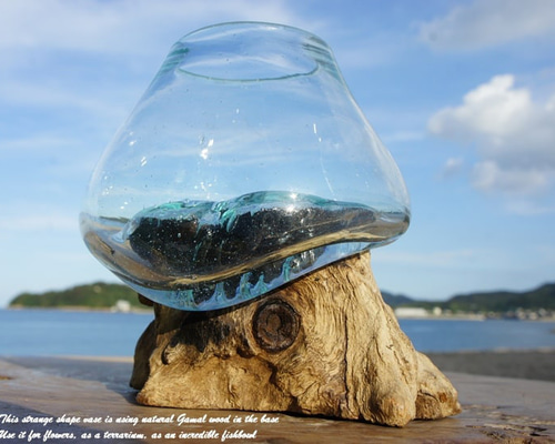 吹きガラスと天然木のオブジェTN 金魚鉢 メダカ 水槽 アクアリウム