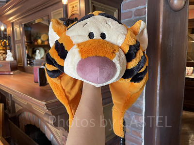 2026冬】ディズニーファンキャップまとめ！ヒョウ柄ファンキャップ復刻