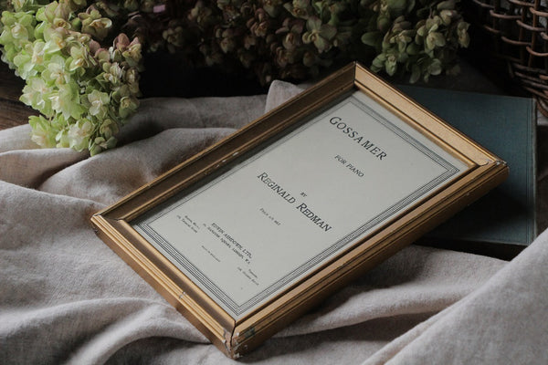 fo221151-a_grande.jpg?v=1699430262