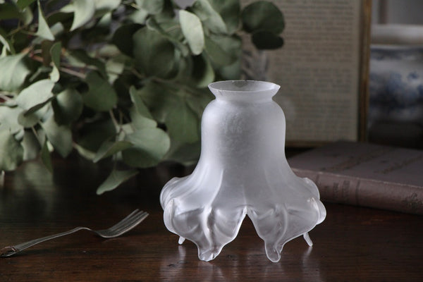 fl221057-a_grande.jpg?v=1697788954