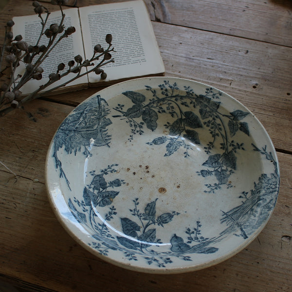 ft221213A_grande.jpg?v=1702533983