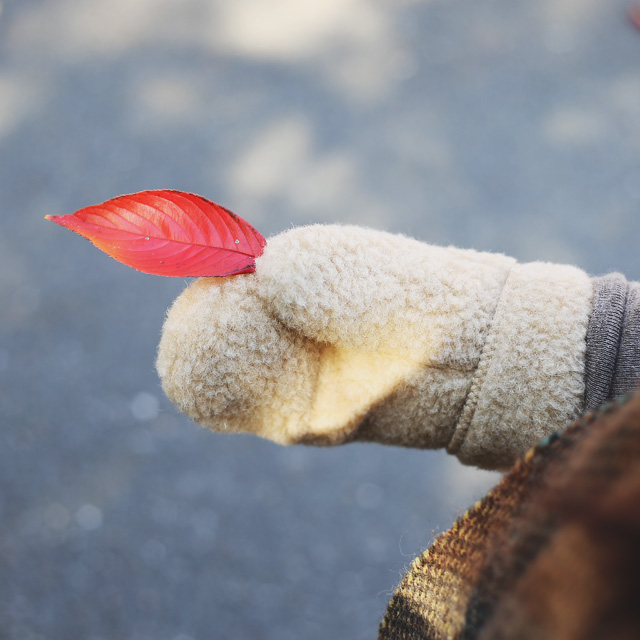 ALWERO/アルベロ/ミトン 手袋(全3色) COMFOTA 北欧雑貨店